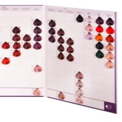 Basler Color 2002+ Farbkarte -Modekosmetik 1125338 Basler Color 2002 Farbkarte.7d356f15