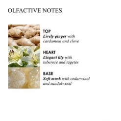 MOLTON BROWN Heavenly Gingerlily Hand Lotion 300 Ml -Modekosmetik 1309722 MOLTON BROWN Heavenly Gingerlily Hand Lotion 300 ml.9e19d409