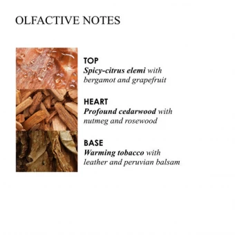 MOLTON BROWN Tobacco Absolute Bath & Shower Gel 300 Ml 6 MOLTON BROWN Tobacco Absolute Bath & Shower Gel 300 Ml – Bild 4