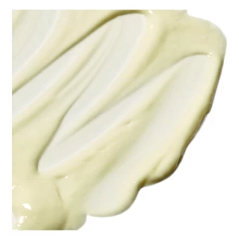 Pai Salvation Jane Omega Rich Moisturizer 50 Ml 4 Pai Salvation Jane Omega Rich Moisturizer 50 Ml – Bild 2