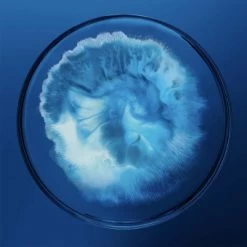 Biotherm Homme Force Supreme Gel 50 Ml -Modekosmetik 1430181 Biotherm Homme Force Supreme Gel 50 ml.ee898f0f