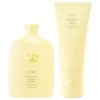Oribe Hair Alchemy Resilience & Fortifying Duo-Set