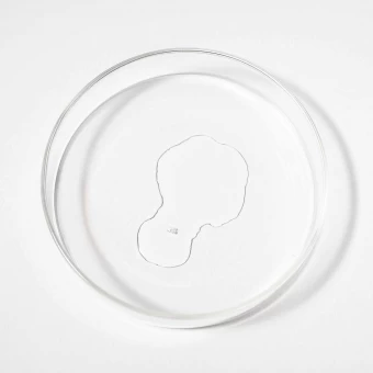 Scandinavian Biolabs Bio-Pilixin Serum Men 100 Ml 6 Scandinavian Biolabs Bio-Pilixin Serum Men 100 Ml – Bild 4