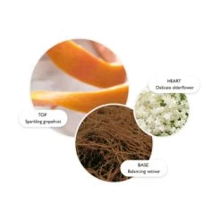 MOLTON BROWN Vintage With Elderflower Hand Lotion 300 Ml -Modekosmetik 1469282 MOLTON BROWN Vintage With Elderflower Hand Lotion 300 ml.9ba8188a