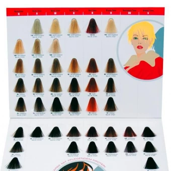 Domino Farbkarte Haircolor 3 Domino Farbkarte Haircolor
